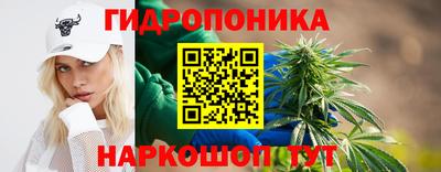 шишки Берёзовский