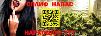 крисы Балахна